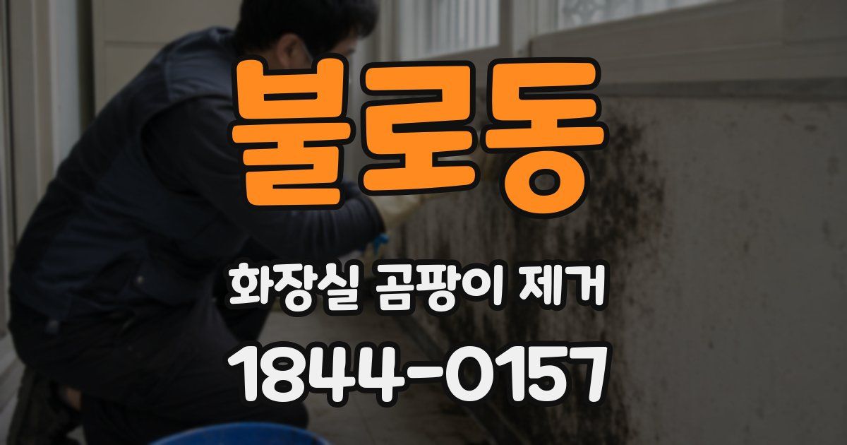 불로동 화장실 곰팡이 제거
