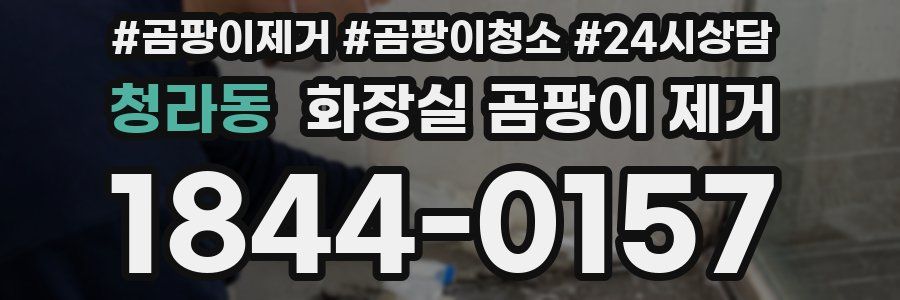 청라동 화장실 곰팡이 제거