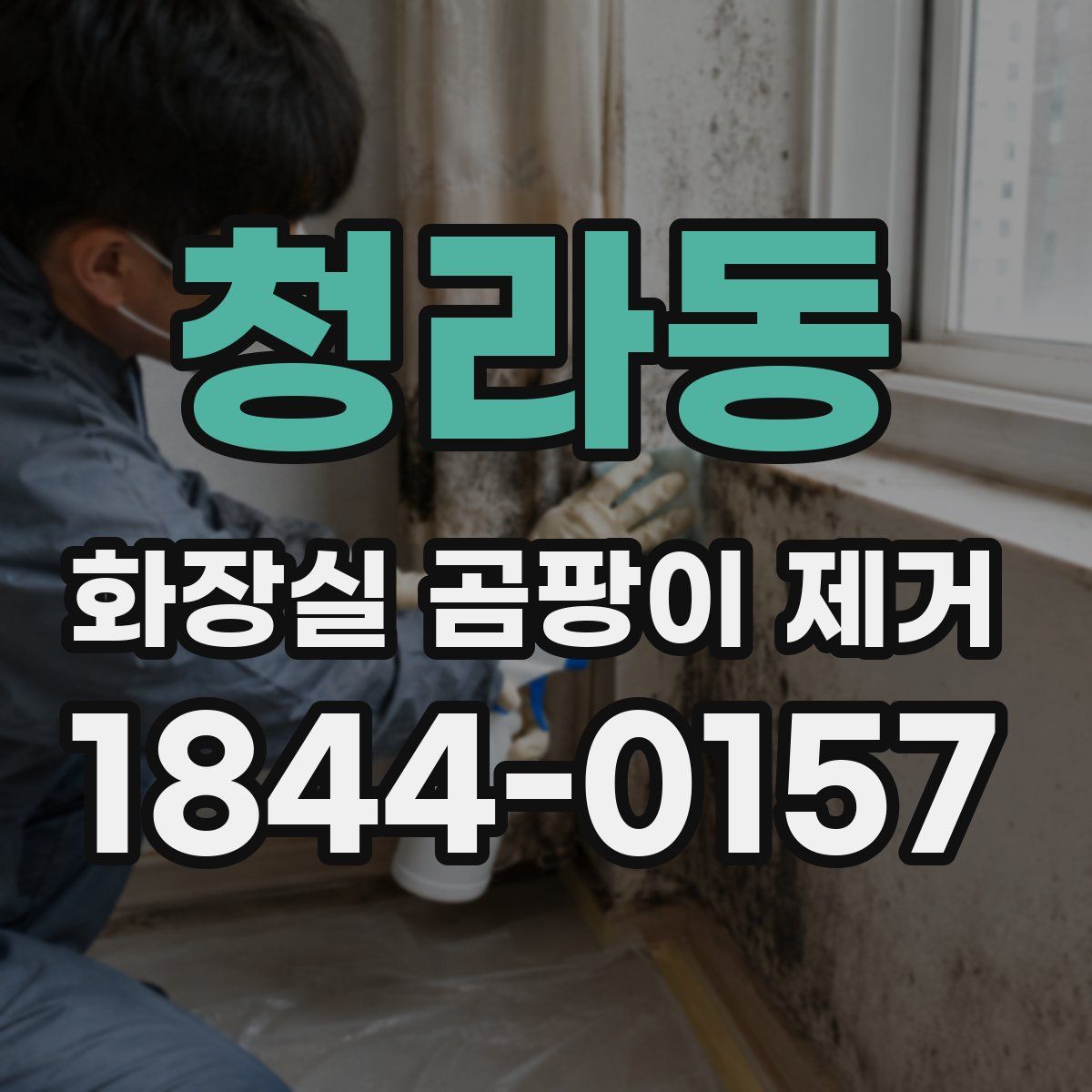 청라동 화장실 곰팡이 제거