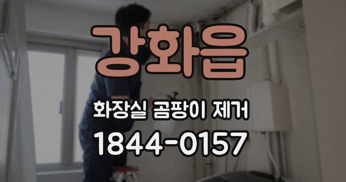 강화읍 화장실 곰팡이 제거