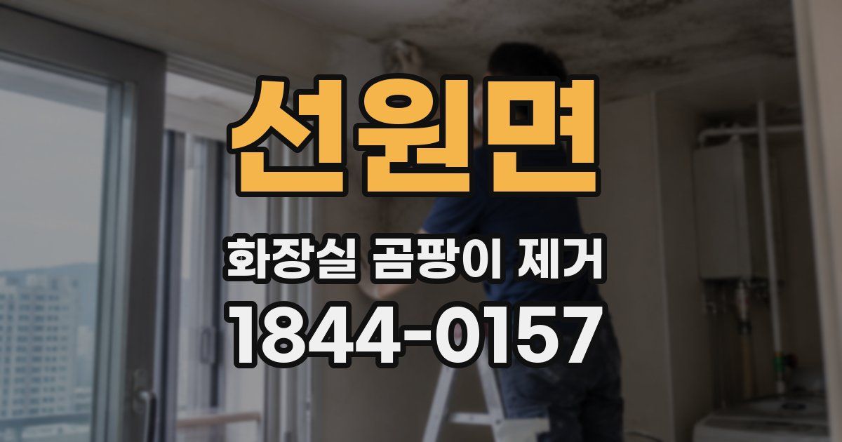 선원면 화장실 곰팡이 제거
