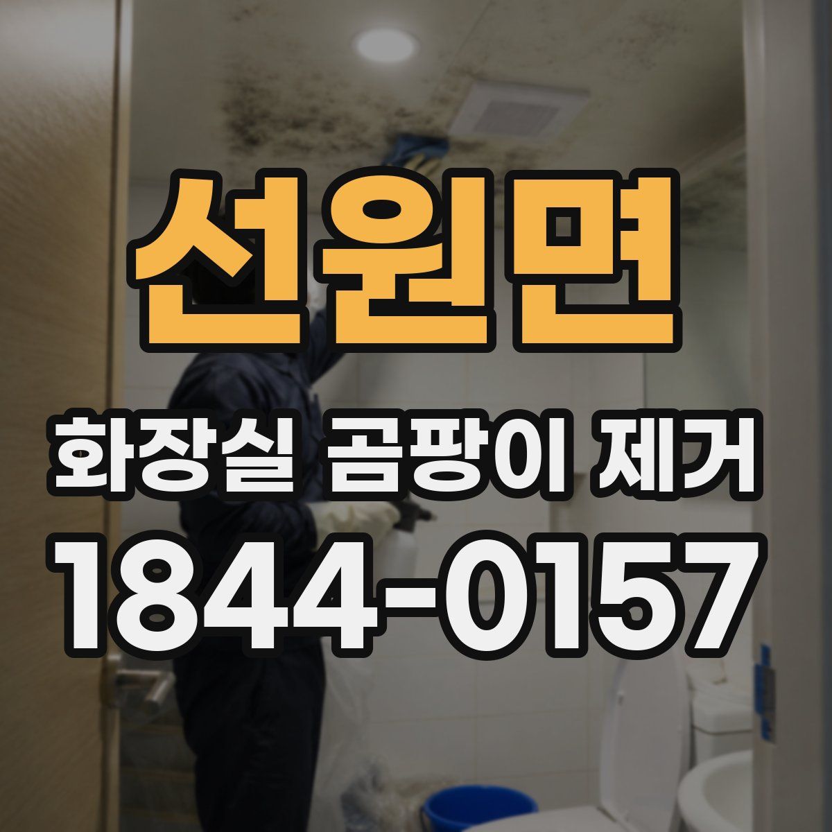 선원면 화장실 곰팡이 제거