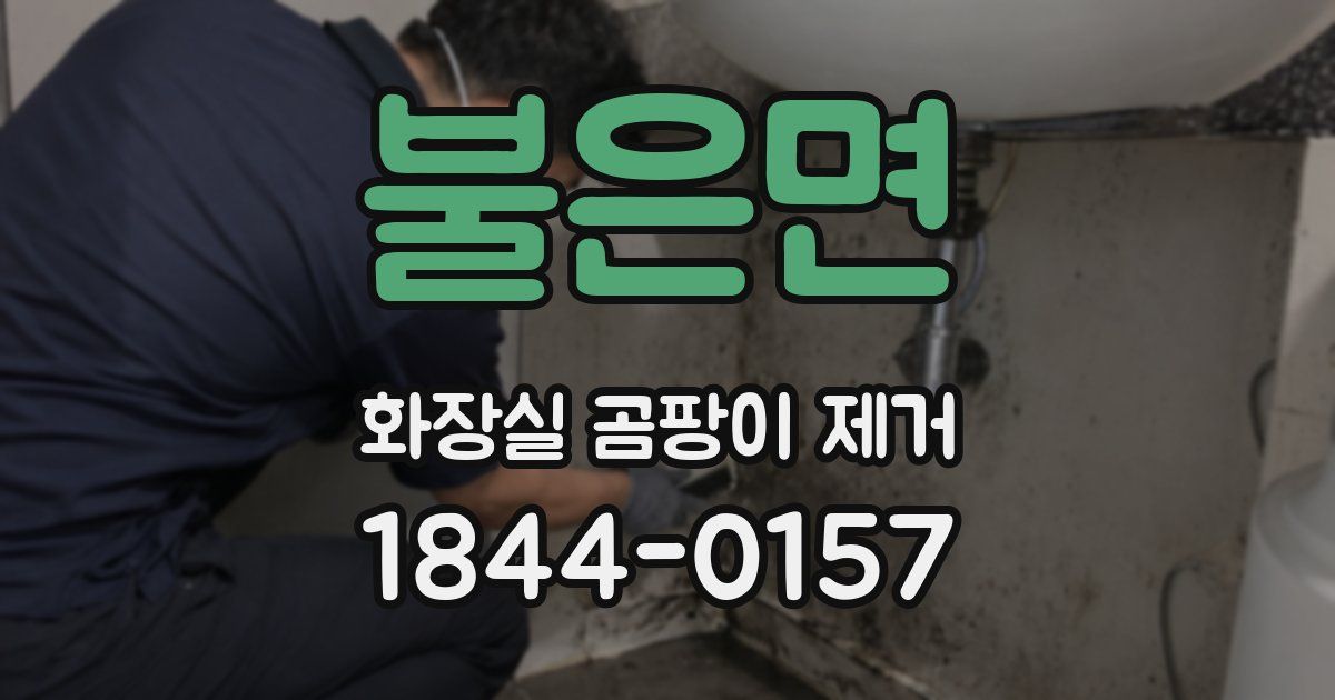 불은면 화장실 곰팡이 제거