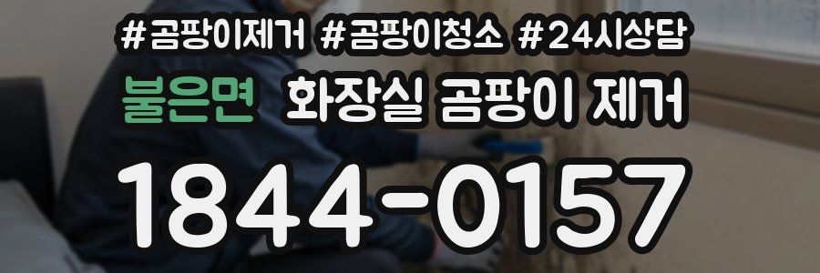 불은면 화장실 곰팡이 제거
