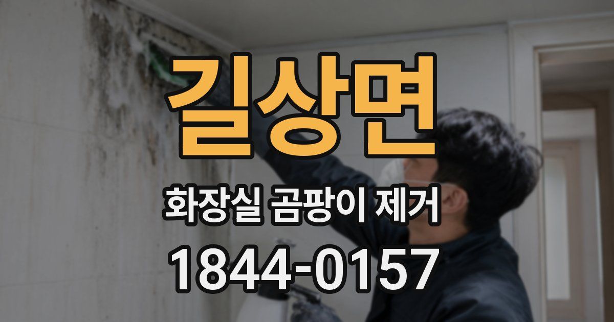 길상면 화장실 곰팡이 제거