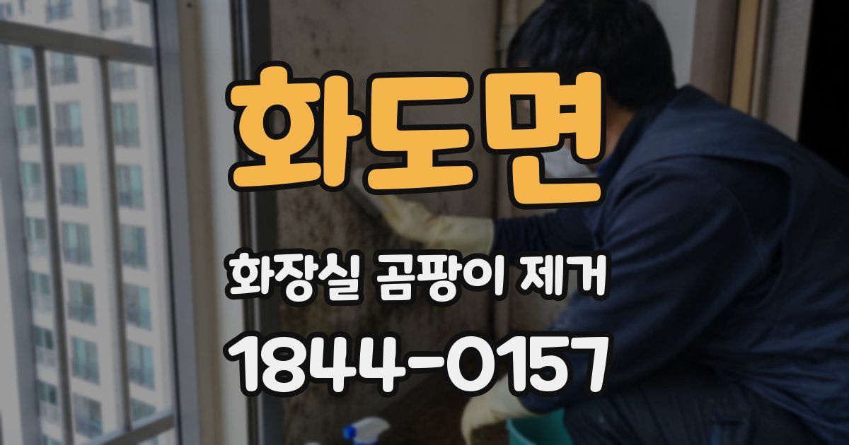 화도면 화장실 곰팡이 제거