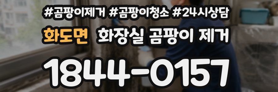 화도면 화장실 곰팡이 제거