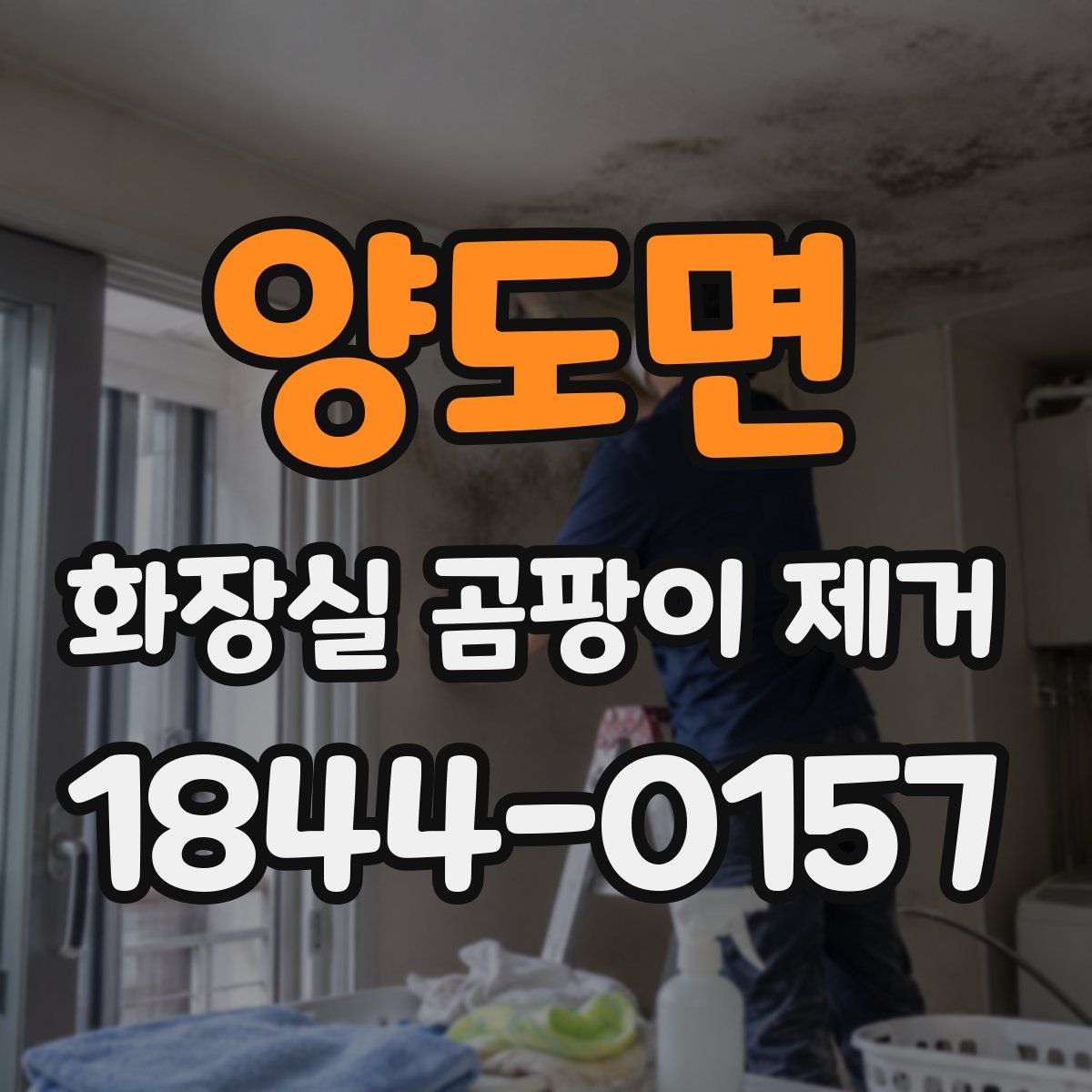 양도면 화장실 곰팡이 제거