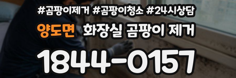양도면 화장실 곰팡이 제거