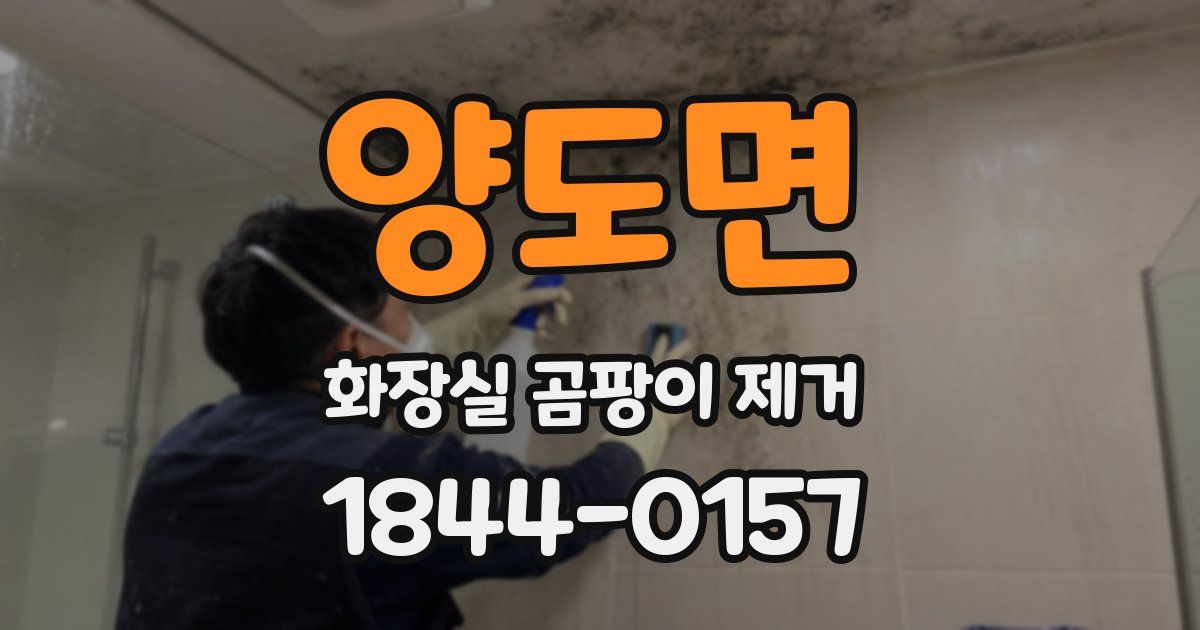 양도면 화장실 곰팡이 제거
