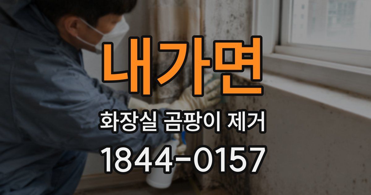 내가면 화장실 곰팡이 제거