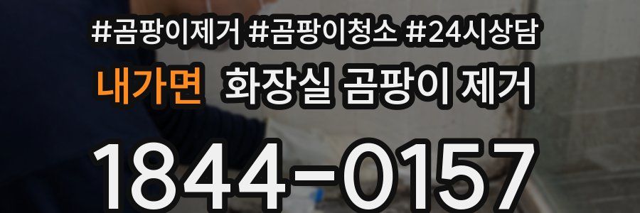 내가면 화장실 곰팡이 제거