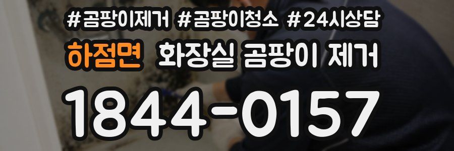 하점면 화장실 곰팡이 제거