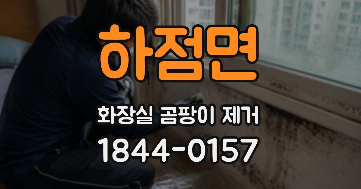 하점면 화장실 곰팡이 제거