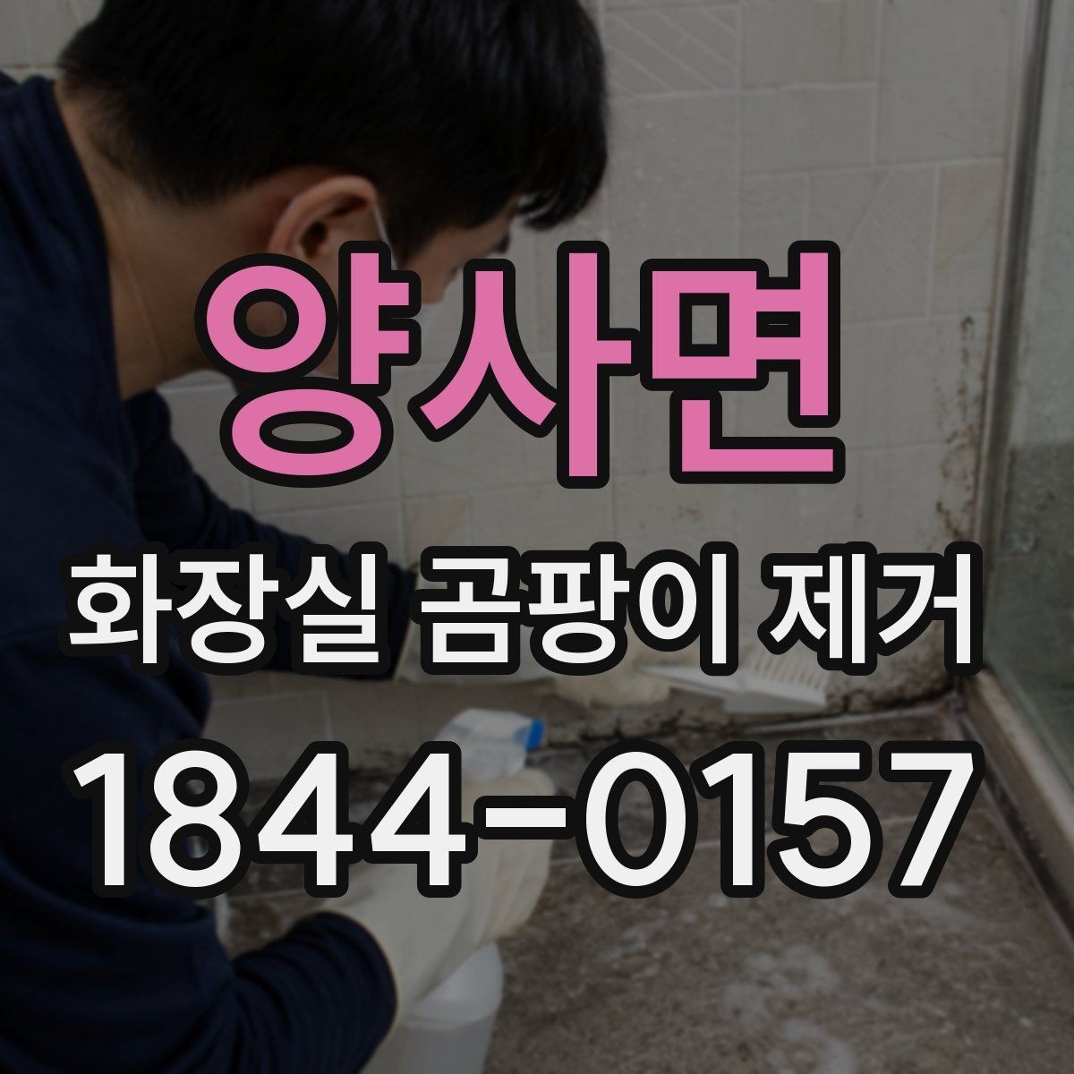 양사면 화장실 곰팡이 제거 전 벽면과 줄눈 상태를 먼저 보는 이유