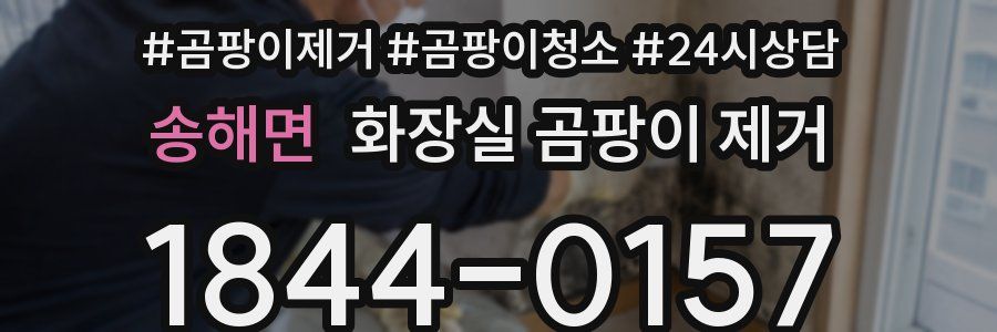 송해면 화장실 곰팡이 제거