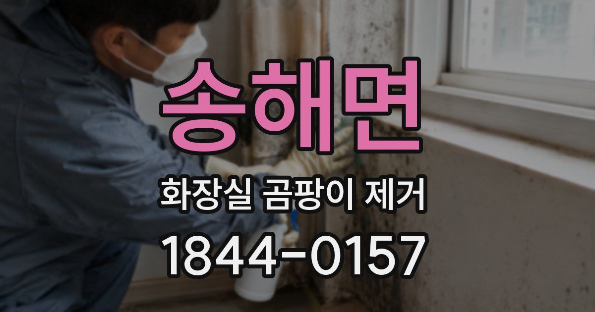 송해면 화장실 곰팡이 제거