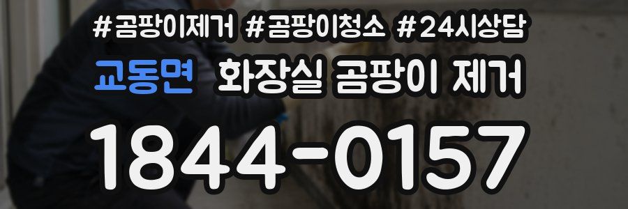 교동면 화장실 곰팡이 제거