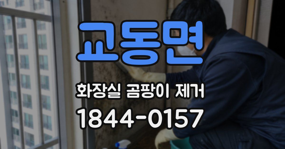교동면 화장실 곰팡이 제거