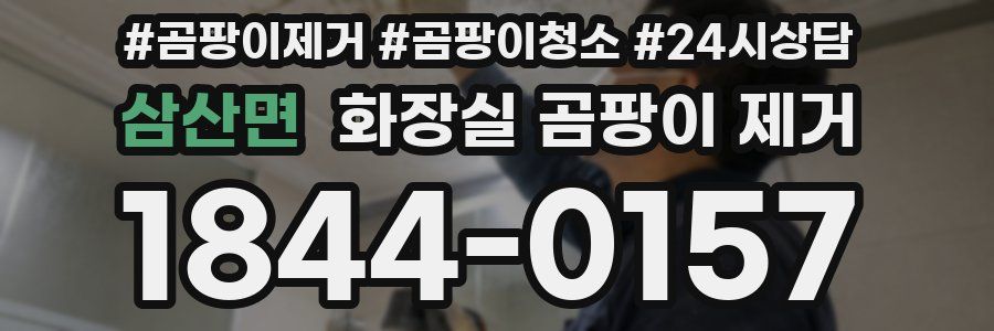 삼산면 화장실 곰팡이 제거
