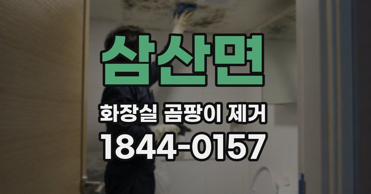 삼산면 화장실 곰팡이 제거