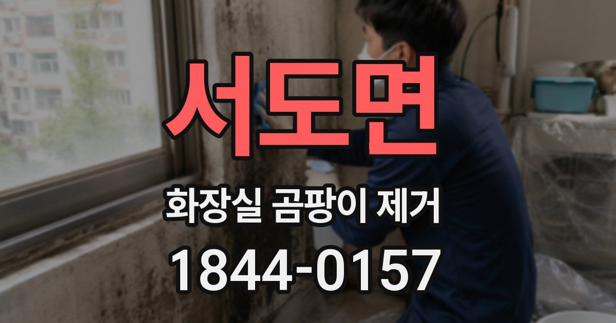 서도면 화장실 곰팡이 제거