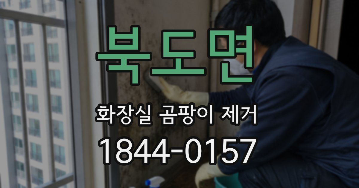 북도면 화장실 곰팡이 제거
