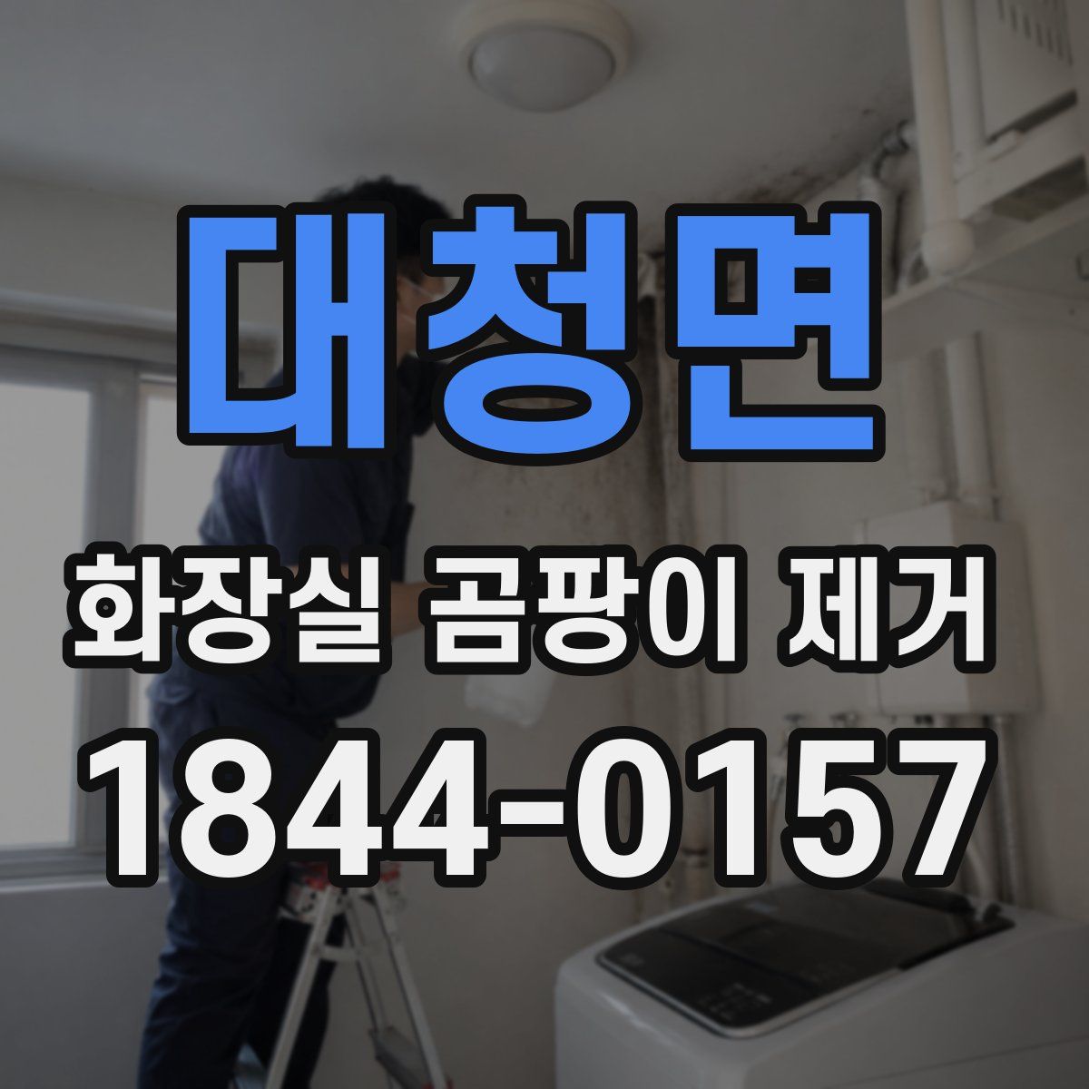 대청면 화장실 곰팡이 제거
