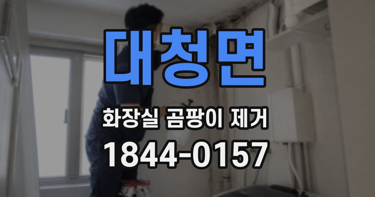 대청면 화장실 곰팡이 제거