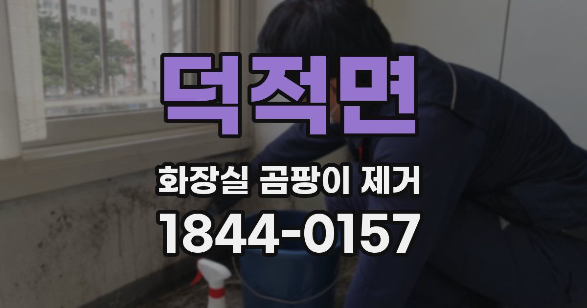 덕적면 화장실 곰팡이 제거