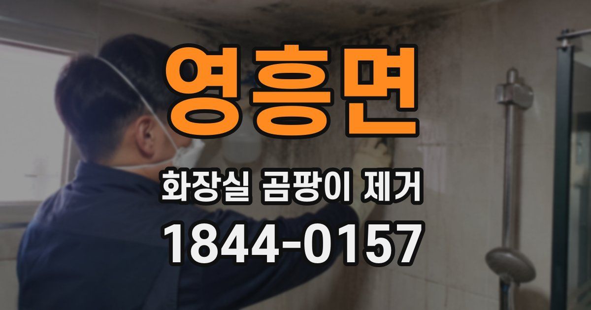 영흥면 화장실 곰팡이 제거