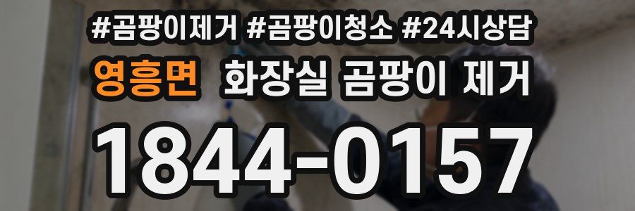 영흥면 화장실 곰팡이 제거