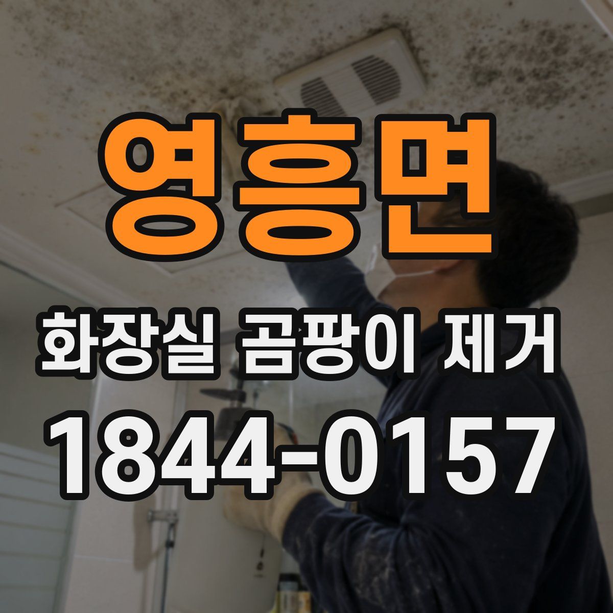 영흥면 화장실 곰팡이 제거