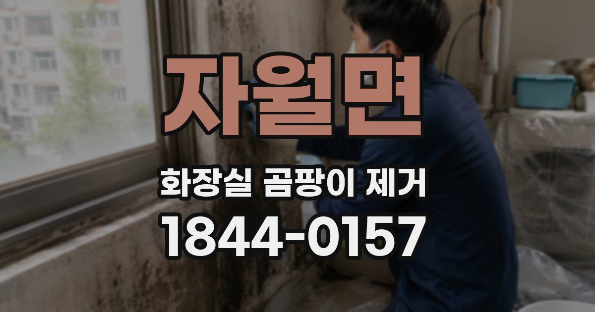 자월면 화장실 곰팡이 제거