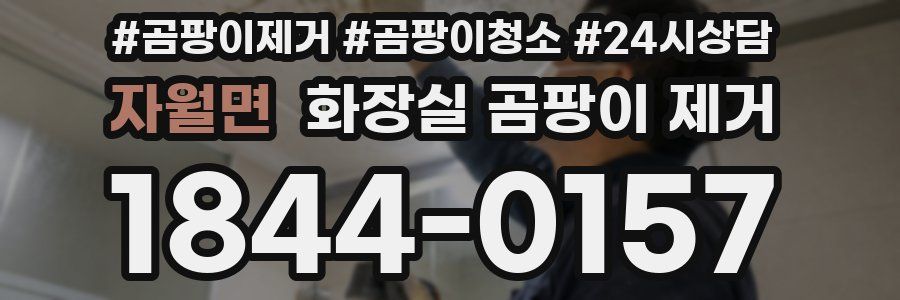자월면 화장실 곰팡이 제거