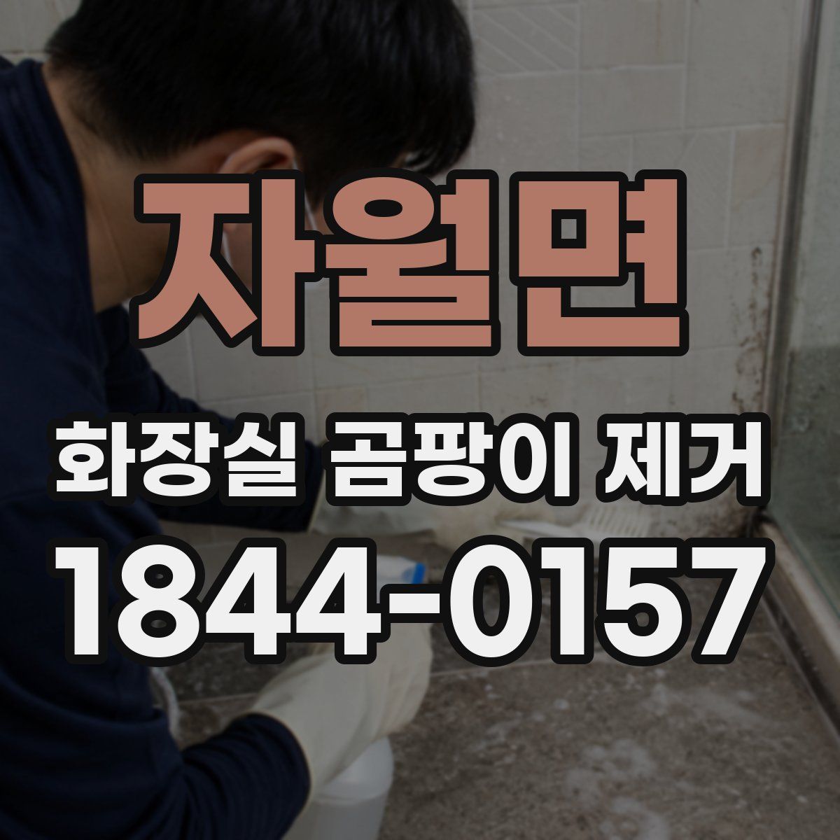 자월면 화장실 곰팡이 제거