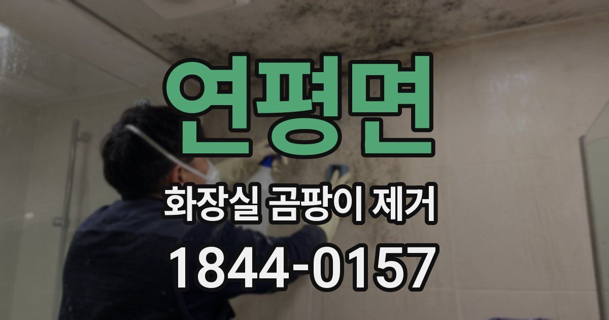 연평면 화장실 곰팡이 제거