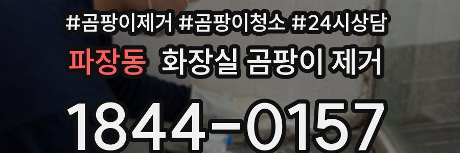파장동 화장실 곰팡이 제거