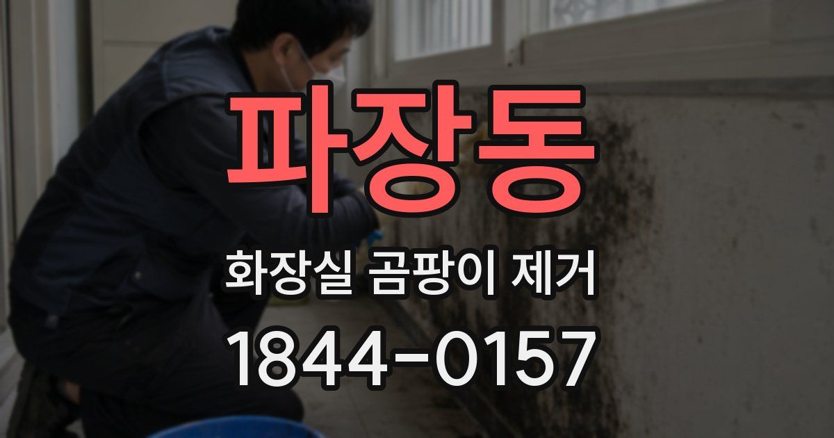 파장동 화장실 곰팡이 제거