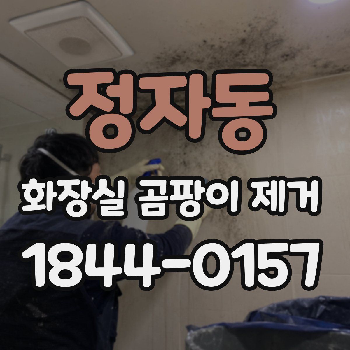 정자동 화장실 곰팡이 제거
