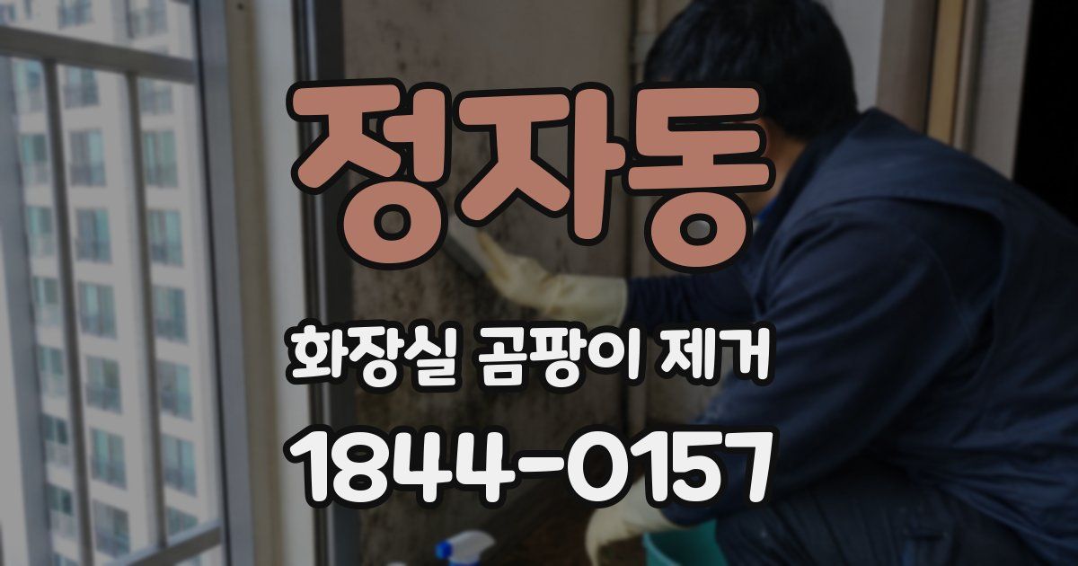정자동 화장실 곰팡이 제거
