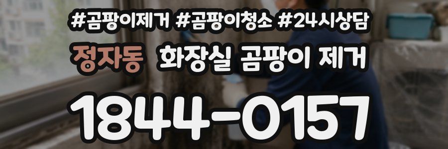 정자동 화장실 곰팡이 제거