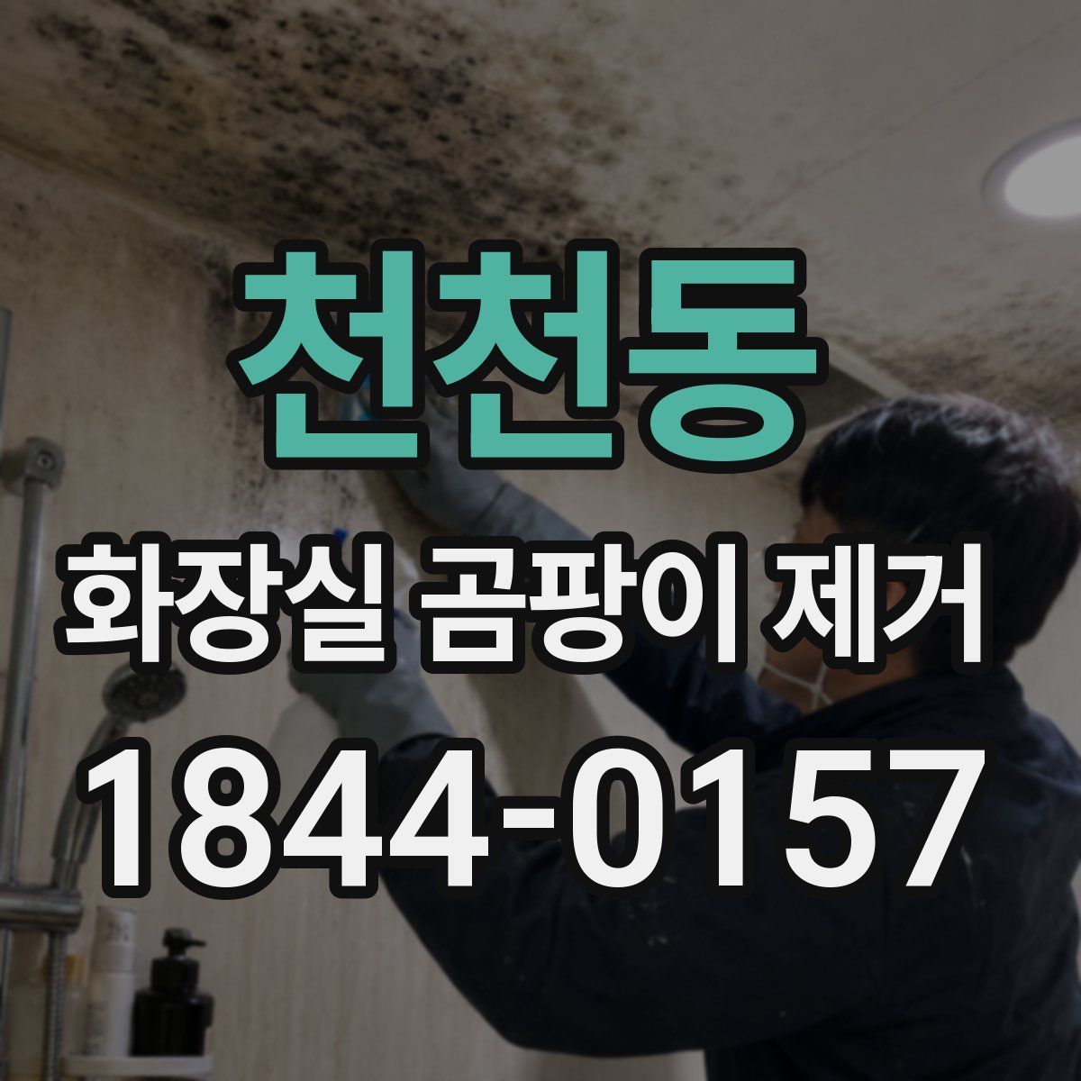 천천동 화장실 곰팡이 제거