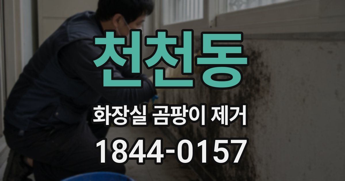 천천동 화장실 곰팡이 제거