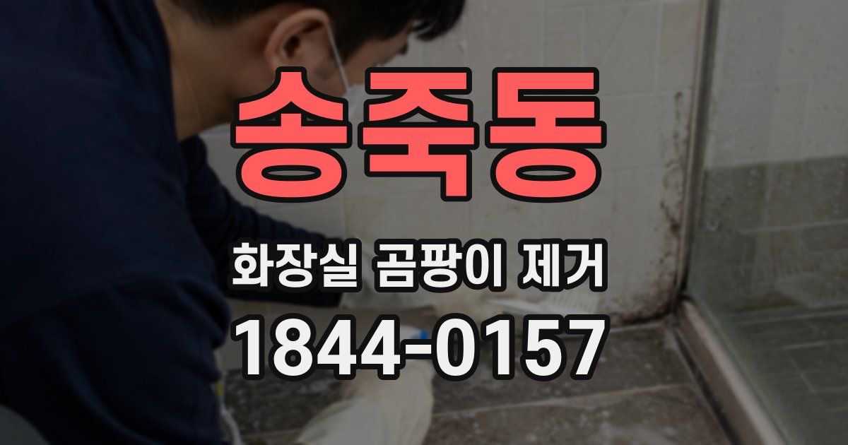 송죽동 화장실 곰팡이 제거