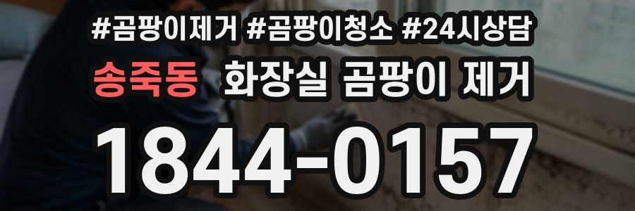 송죽동 화장실 곰팡이 제거