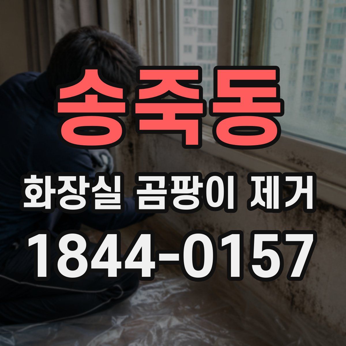 송죽동 화장실 곰팡이 제거