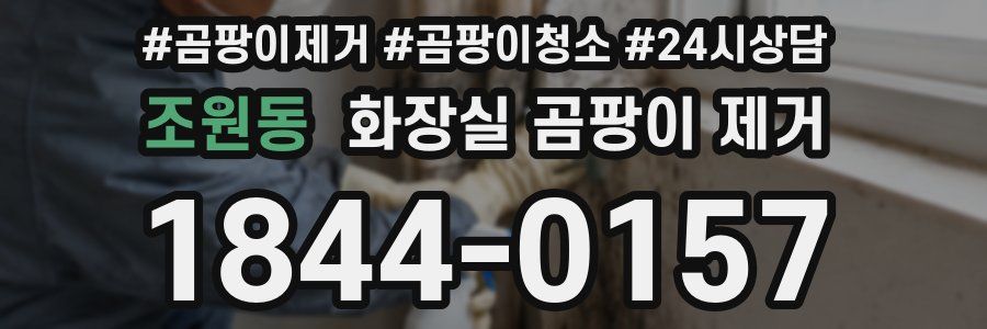 조원동 화장실 곰팡이 제거
