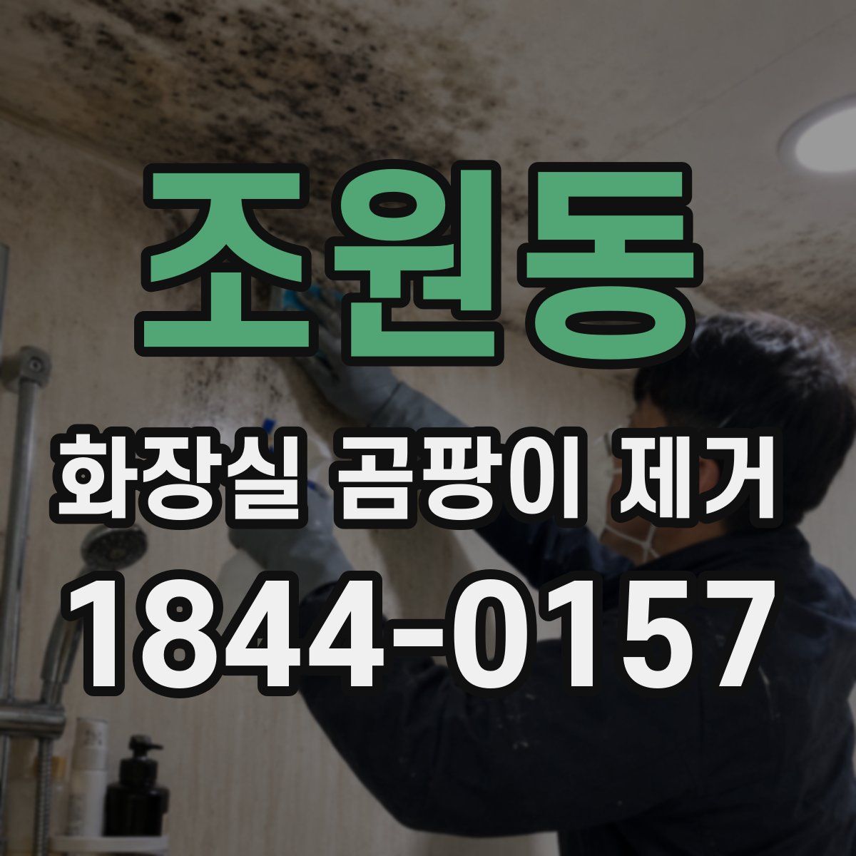 조원동 화장실 곰팡이 제거