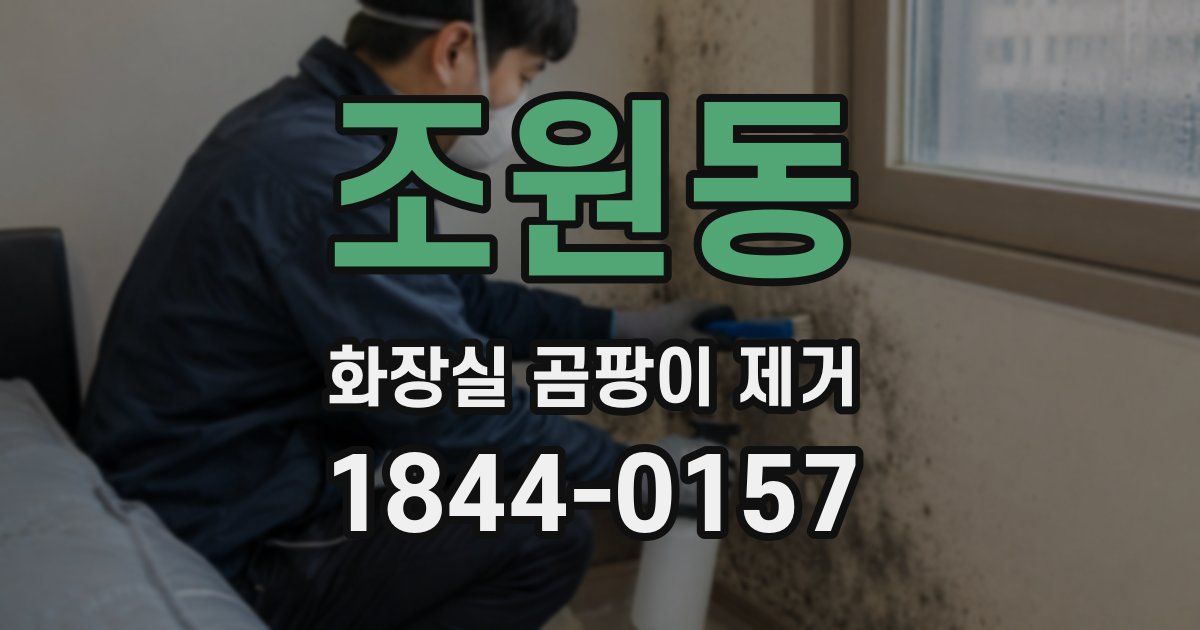 조원동 화장실 곰팡이 제거